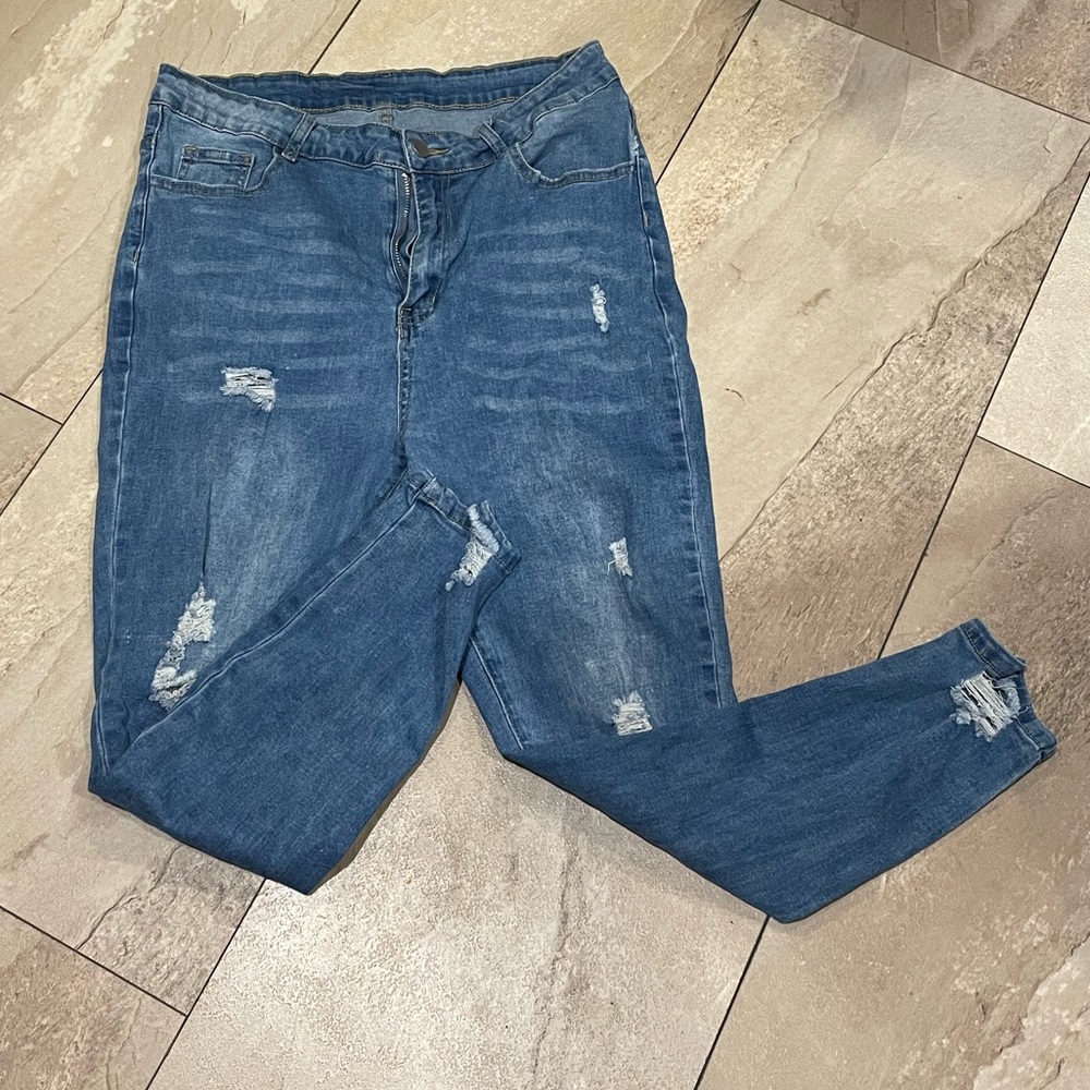 High Waist Plus Size Skinny Jeans